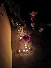 IMG-20251103-WA0007