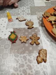 IMG_20241210_192733