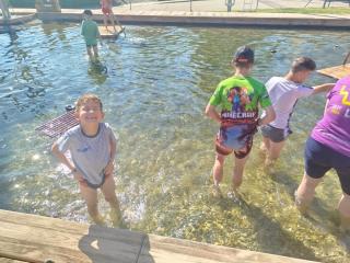 IMG_20250614_161714