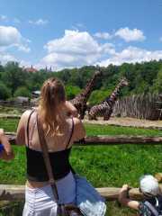 img-20230611-wa0006